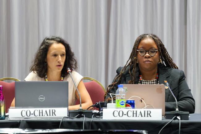 Co-Facilitators Salima Kempenaer, Belgium, and Nneka Nicholas, Antigua and Barbuda