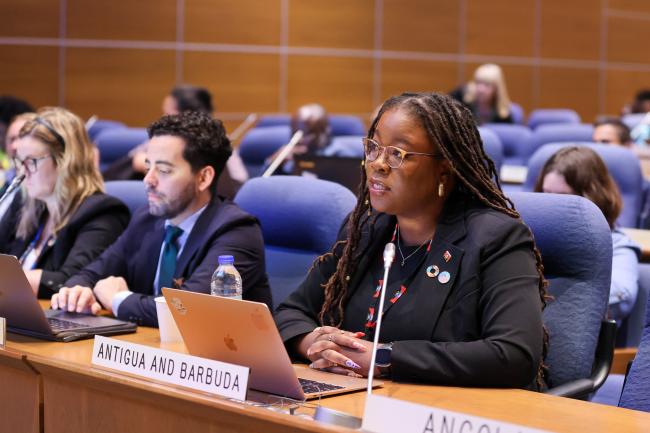 Contact Group Co-Facilitator Nneka Nicholas, Antigua and Barbuda, reporting on progress