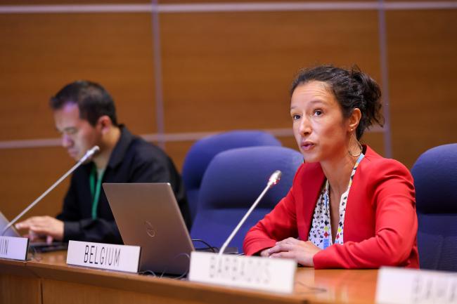 Contact Group Co-Facilitator Salima Kempenaer, Belgium, reporting on progress