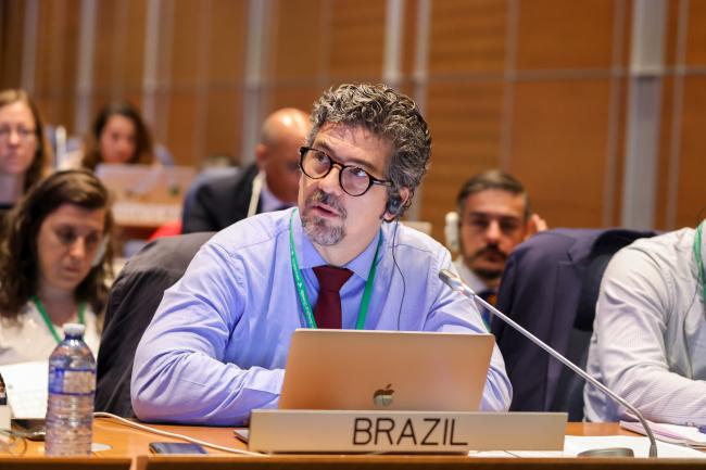Gustavo de Britto Freire Pacheco, Brazil