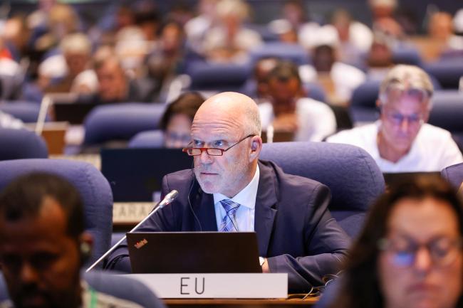 Hugo-Maria Schally, EU