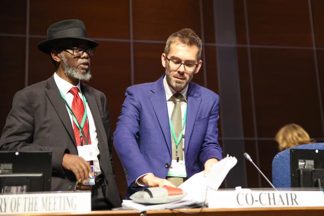 Taukondjo Shikongo, Secretary, Working Group on DSI, and CoW Co-Chair William Lockhart, UK