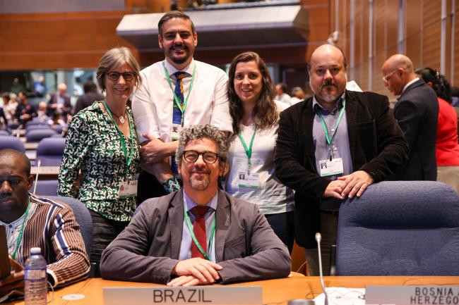 The Brazilian delegation