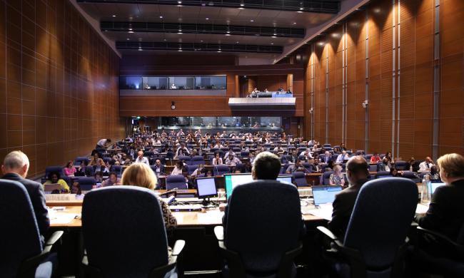 View of the room during plenary