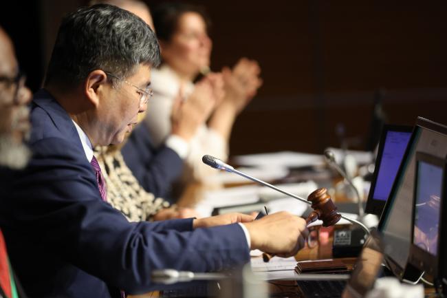 Chair Liu Ning, China, closing the meeting