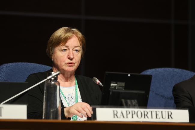 Meeting Rapporteur Angela Lozan, Republic of Moldova