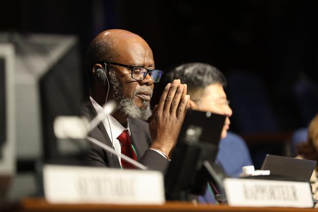 Taukondjo Shikongo, Secretary, Working Group on DSI