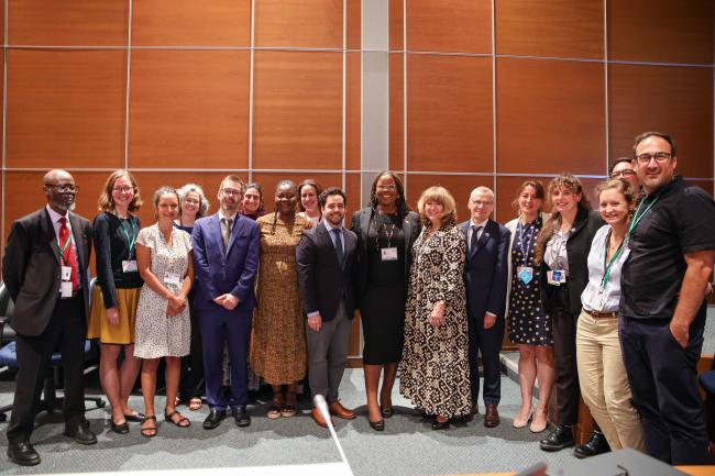 Secretariat, Co-Chairs and Co-Facilitators family photo