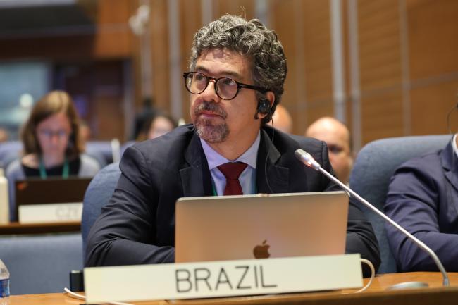 Gustavo de Britto Freire Pacheco, Brazil