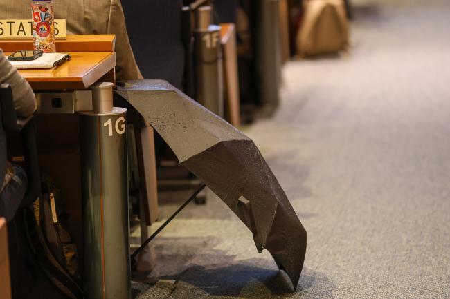 Umbrella