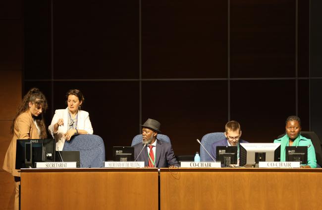 Secretartiat and Co-Chairs preparing for the start of the plenary