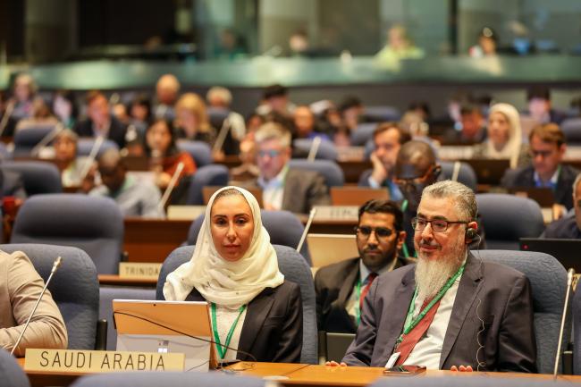 Batoul AlBaz and Yousef Al-Hafedh, Saudi Arabia