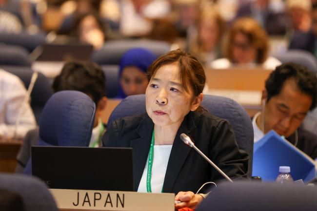 Masami Fujimoto, Japan