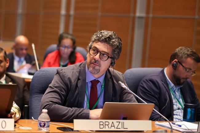 Gustavo de Britto Freire Pacheco, Brazil