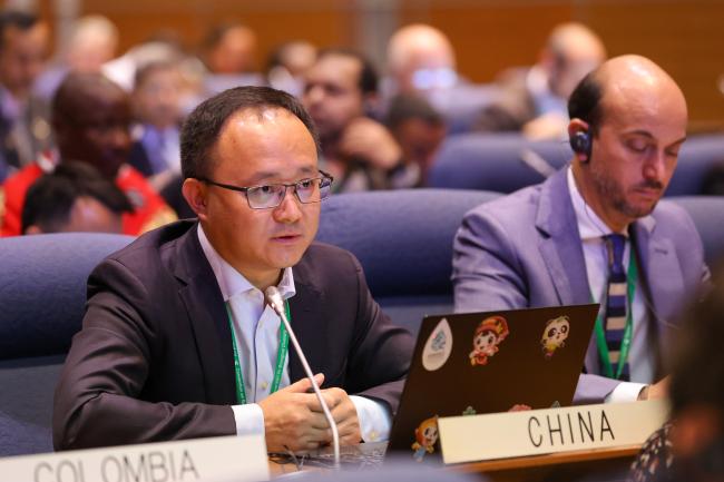 Fuwei Zhao, China