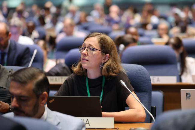 Co-Facilitator Eliška Rolfová, Czechia, reporting back from Contact Groupp 1