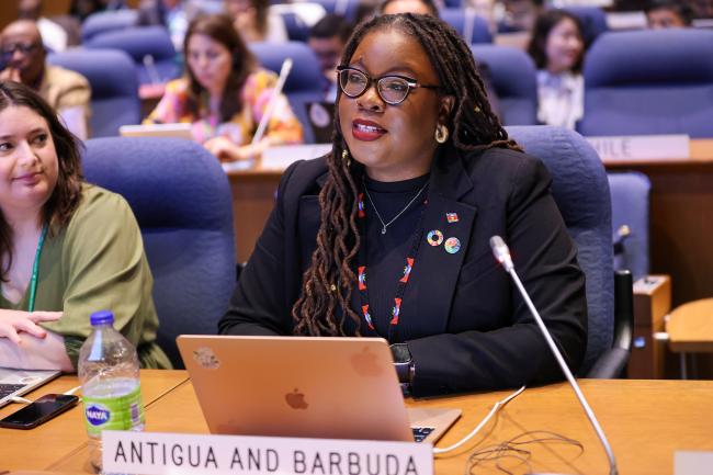Co-Facilitator Nneka Nicholas, Antigua and Barbuda, reporting back from Contact Group 2 