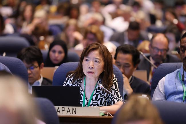 Masami Fujimoto, Japan