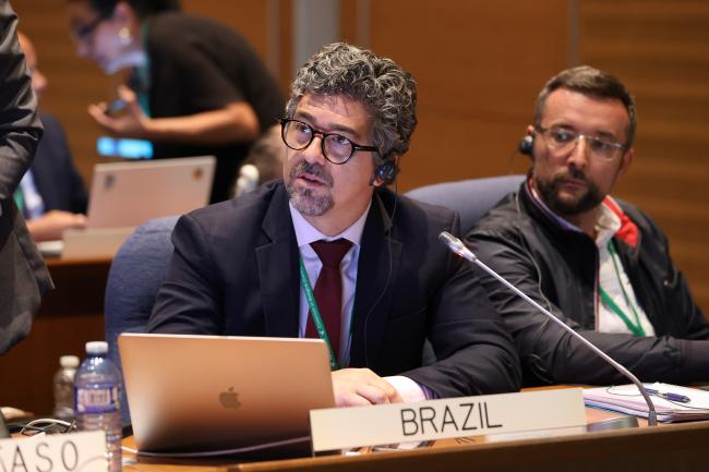 Gustavo de Britto Freire Pacheco, Brazil