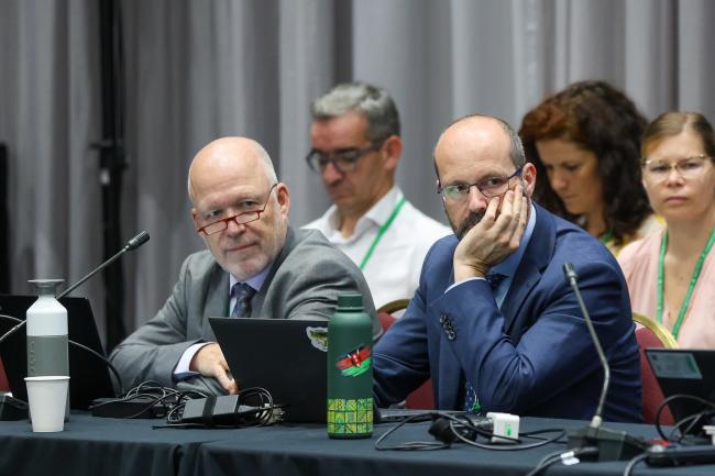 Hugo-Maria Schally and Levente Kőrösi, EU