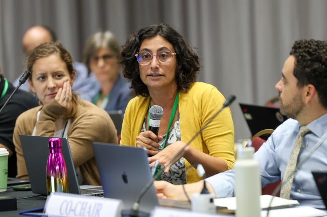 Beatriz Gómez-Castro, CBD Secretariat