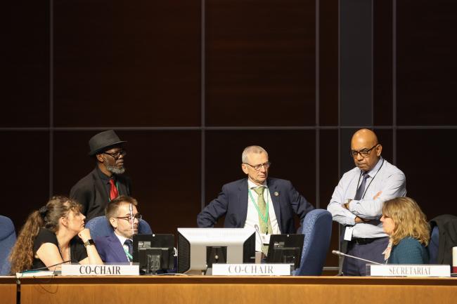 Secretariat and Committee of the Whole (CoW) Co-Chairs conferring