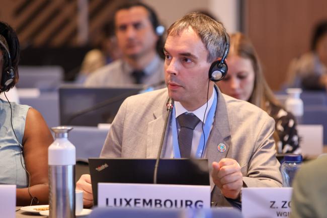 Andrew Ferrone, Luxembourg