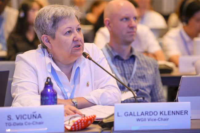 WGII Vice-Chair Laura Gallardo Klenner, Chile 