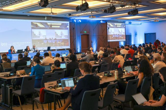 View of the room during the afternoon session 
