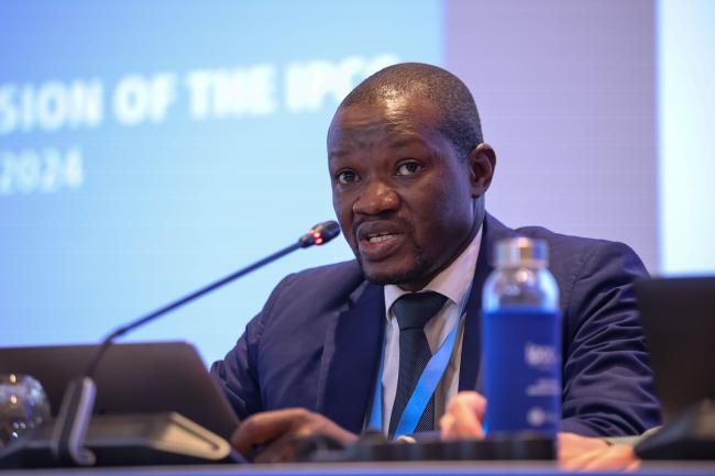 IPCC Vice-Chair Ladislaus Chang'a, Tanzania