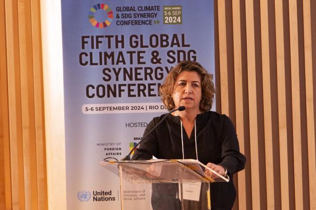 Ambassador Liliam Chagas, Ministry of Foreign Affairs of Brazil - Global-Climate-SDG-Synergy-5 -5Sep2024
