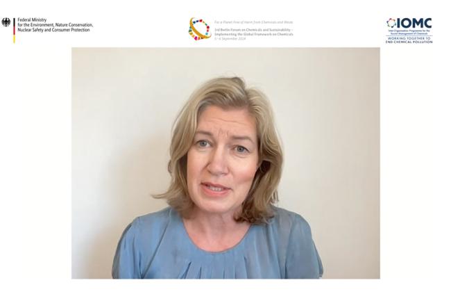 Anne-Sofie Bäckar, Executive Director, ChemSec 