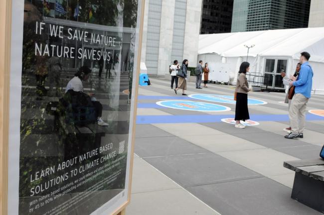 Around the UN