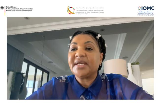 Bernice Swarts, Deputy Minister Forestry, Fisheries, and the Environment, South Africa