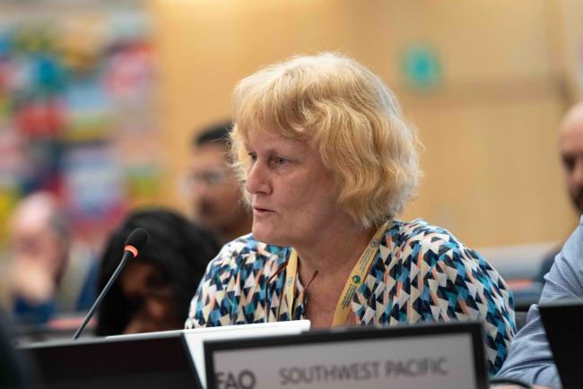 Birte Nass-Komolong, South West Pacific - ITPGRFA OEWG12 - 19Sep2024 – photo