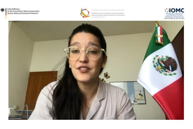 Camila Zepeda, Ministry of Foreign Affairs, Mexico