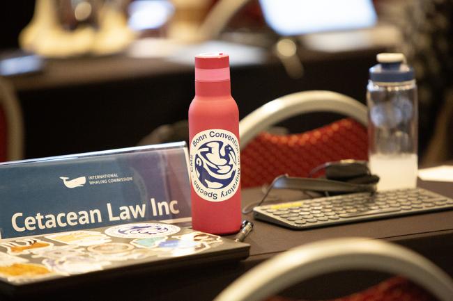 Cetacean Law - IWC69-26sep2024