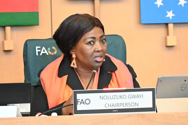 Chair Noluzuko Gwayi, South Africa. Courtesy of Kei Ohno-Woodall - CRCPOPRC20-20Sep2024