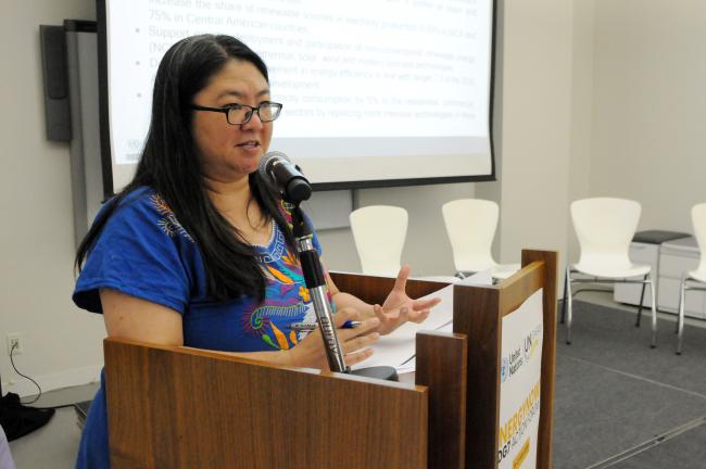 Debora Ley, UN ECLAC