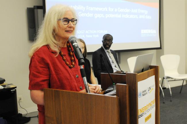 Elizabeth Cecelski, Co-Founder and Chair Advisory Group and Senior Policy Adviser, ENERGIA