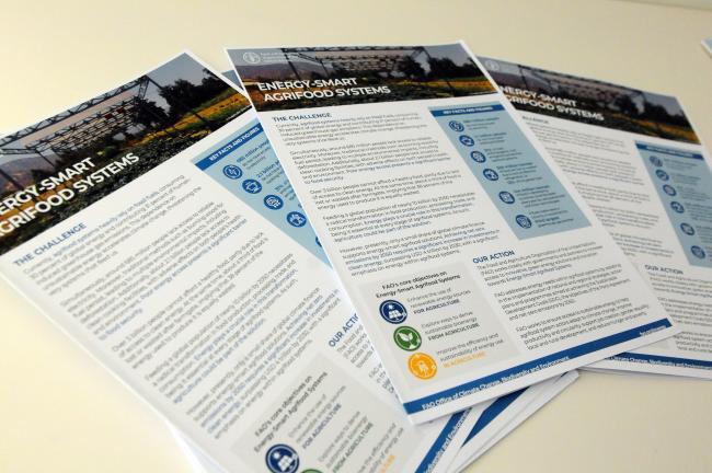 Energy smart agrifood systems - ENERGYNOW SDG7 Action Forum 2024 - 25Sep2024 - Photo