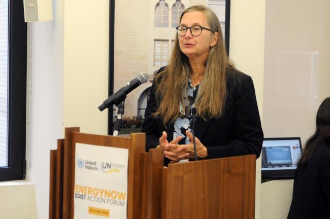 Fanny Missfeldt-Ringius, World Bank