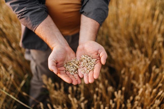 Farmer and seeds