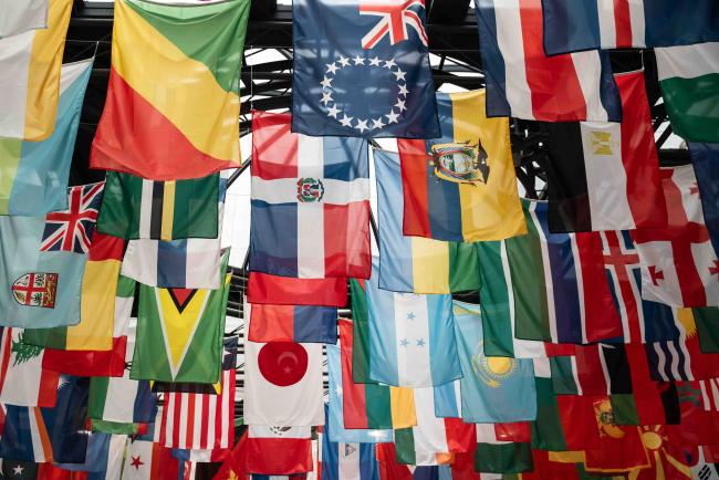 Flags in reception