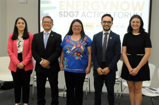 Group photo of panel speakers of the event on 'Advancing SDG7 in Central America and the Dominican Republic'
