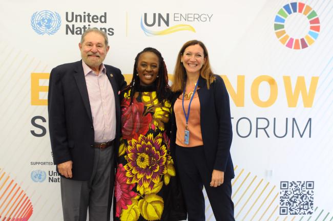 H. Stephen Halloway, World Bank; Chibulu Luo, UNDP; and Maria Michela Morese, FAO