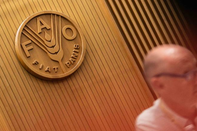 FAO logo on wall