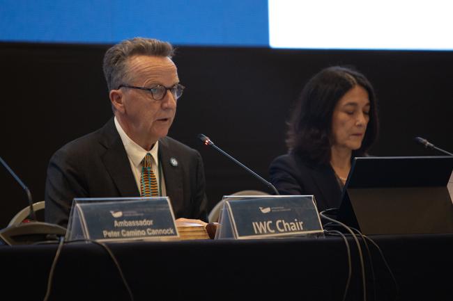 IWC Chair- IWC69-23sep2024