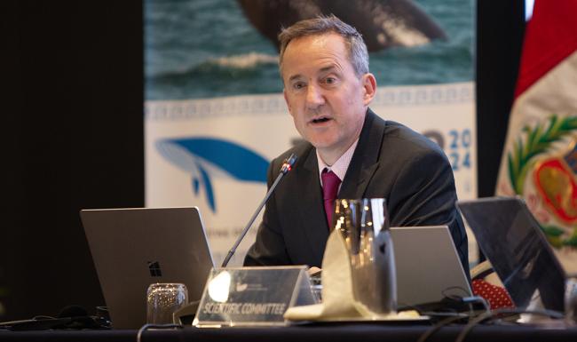 Iain Staniland, IWC Science Conservation and Management - IWC69-26sep2024