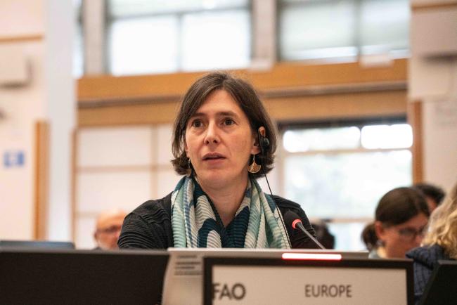 Isabelle Fragnière, Europe